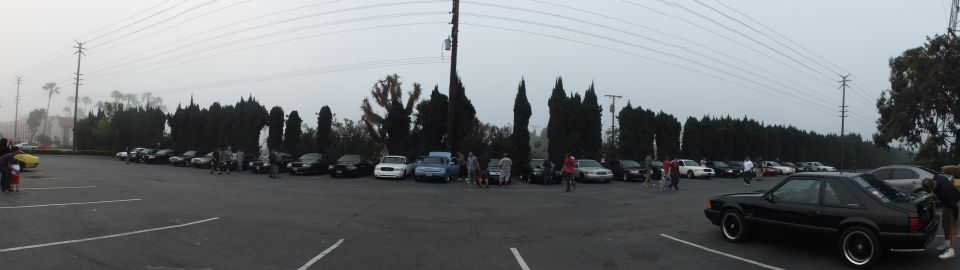 Panorama of cars parked across asphalt lot bordered by cypress trees, dim overcast light