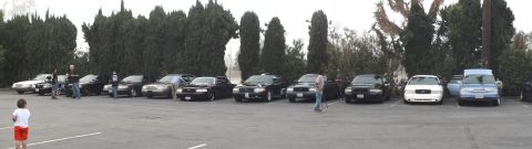 2003 Ford Crown Victoria - Row of cars facing forward along an evergreen hedge with attendees standing nearby.
