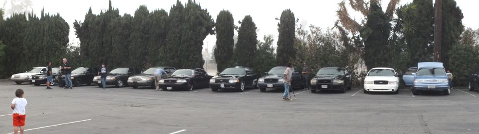 Panorama of front-parked sedans against cypress hedge with people between cars