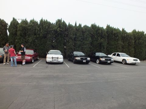 2003 Ford Crown Victoria - maroon coupe and several light and dark sedans line up before tall evergreens.