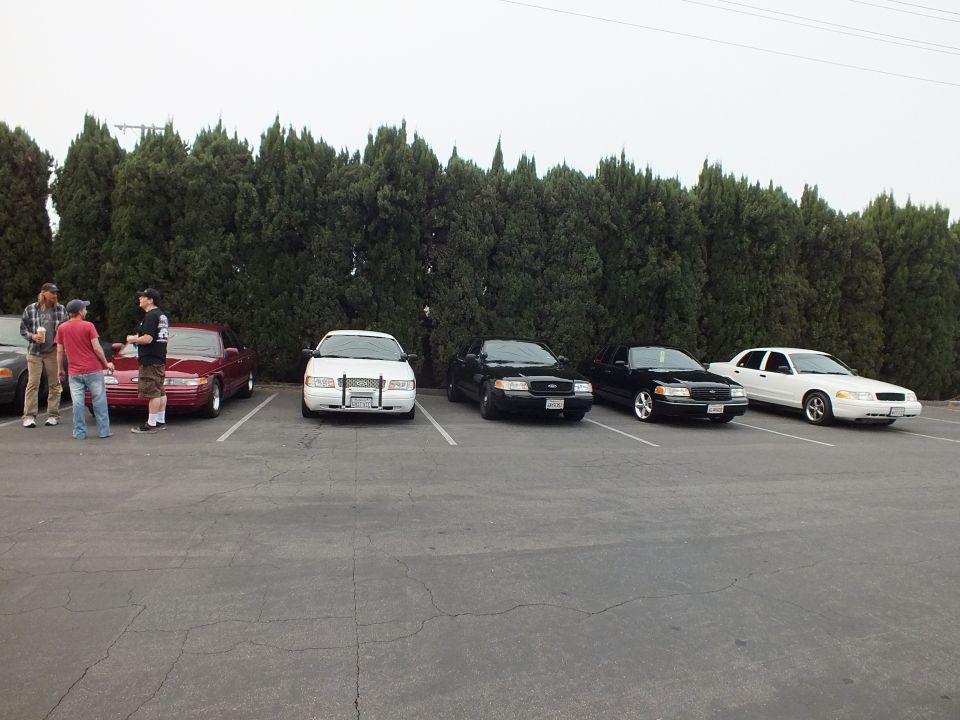 Five sedans front-parked against cypress hedge, maroon coupe and white sedans, men at left