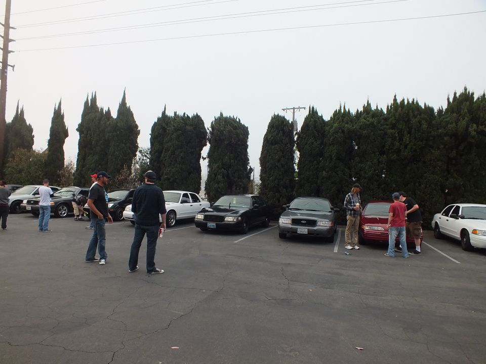 Sedans angle-parked along cypress trees with people standing in the lot, overcast