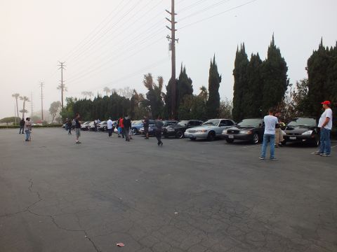 2003 Ford Crown Victoria - People scattered across a wide asphalt lot with cars parked along the tree line.