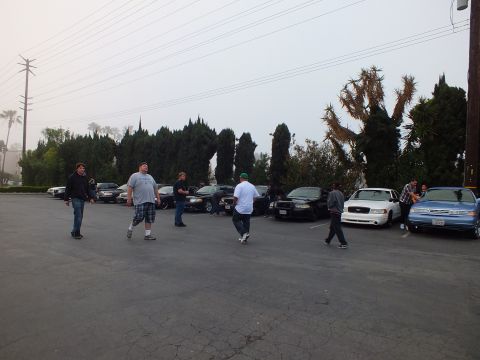 2003 Ford Crown Victoria - Group walks the asphalt lot beside parked full-size sedans under a gray sky.