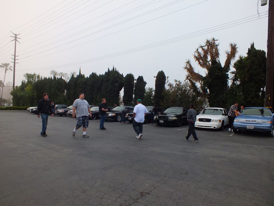 Men walking across foggy parking lot past row of dark sedans and a blue sedan at right
