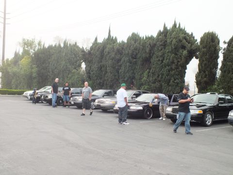2003 Ford Crown Victoria - Attendees stand near a lineup of dark sedans against tall evergreens on a gray day.