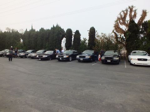 2003 Ford Crown Victoria - Crown Victoria sedans line up nose-out across an asphalt lot, attendees standing nearby at dusk.