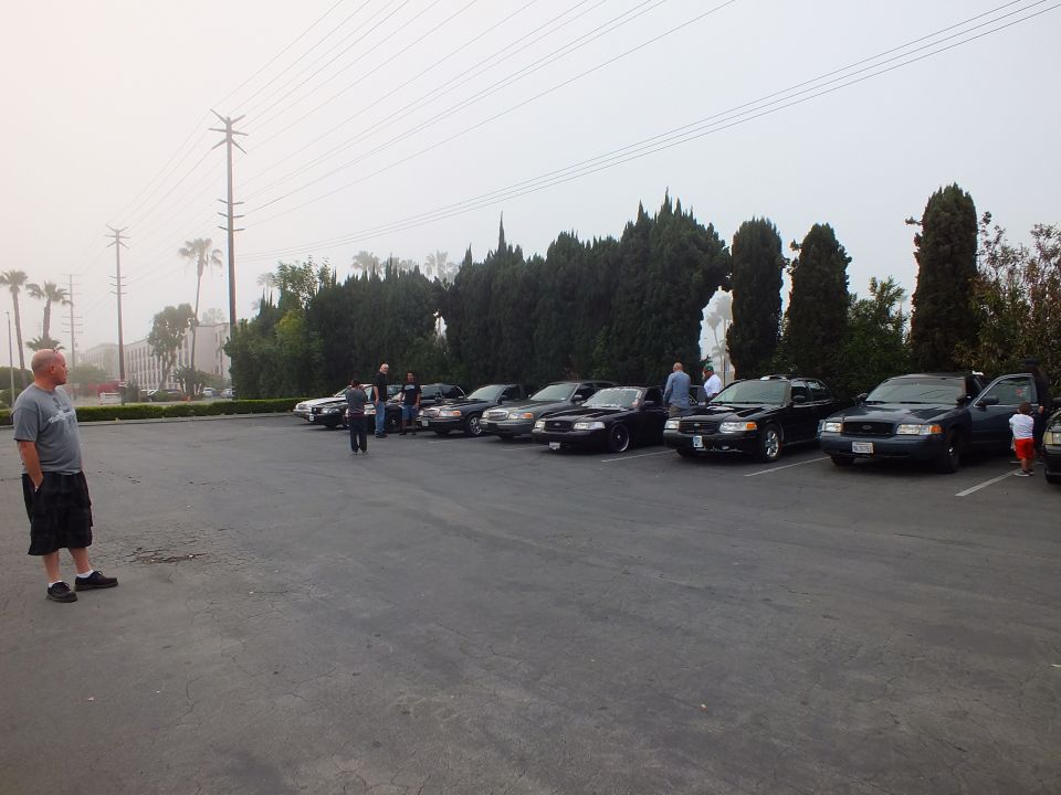 Crown Victoria sedans angled in a parking lot with people and power lines in hazy light