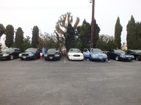 2003 Ford Crown Victoria - Several sedans face the camera across a lot, a pale blue car among the black and white examples.