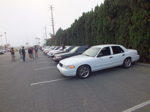2003 Ford Crown Victoria - clean white Crown Victoria leads a parked lineup, attendees walking the lot under hazy sky.