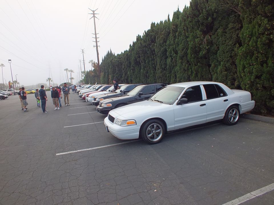 White Ford Crown Victoria parked at front of a long row of meet cars
