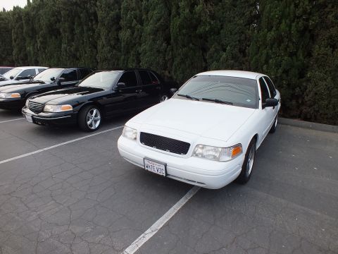 2003 Ford Crown Victoria - Front-three-quarter of a white Crown Victoria reading WITE VIC, a black example parked at left.