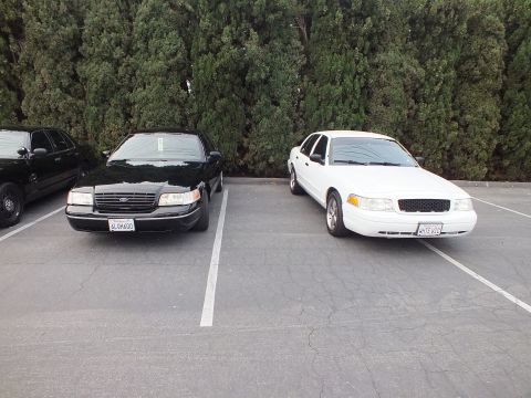 2003 Ford Crown Victoria - black Crown Victoria and a white one with WITE VIC plate sit in adjacent lot spaces.