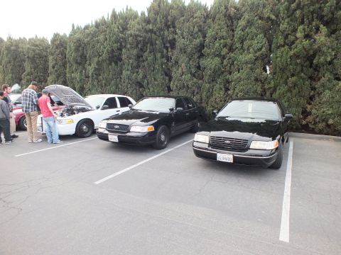 2003 Ford Crown Victoria - Black sedans parked nose-out beside a white Crown Victoria with hood raised and people nearby.