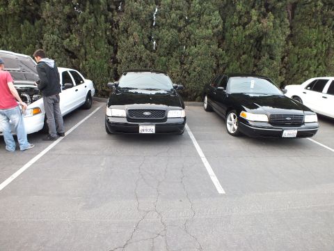 2003 Ford Crown Victoria - Black Crown Victoria sits front-on in a lot space, white and dark examples flanking it.