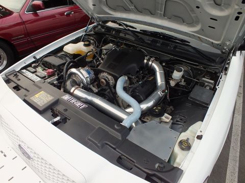 2003 Ford Crown Victoria - Forced-induction setup with NITROUS-branded parts fills the white Crown Victoria engine bay.