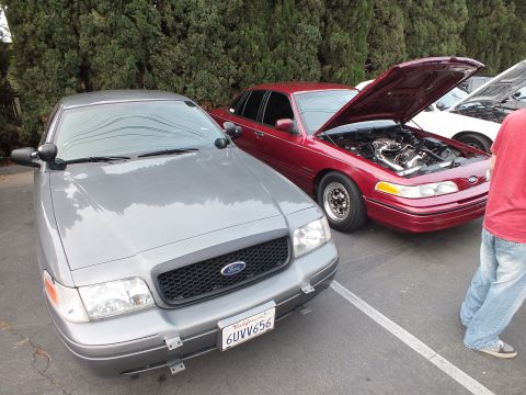 2003 Ford Crown Victoria - Gray Crown Victoria parked front-on next to a hood-up maroon example at the meet.