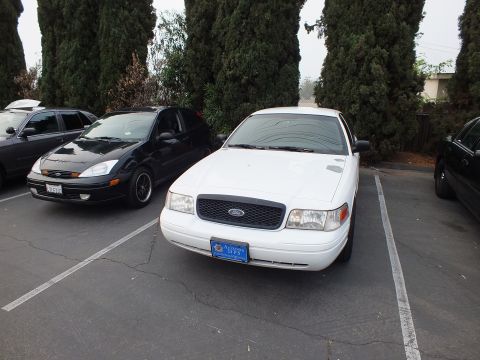 2003 Ford Crown Victoria - White Ford Crown Victoria sedan with blue plate frame next to a black Ford Focus hatchback at a meet