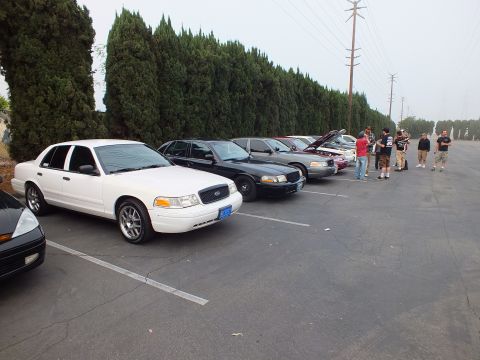 2003 Ford Crown Victoria - White Crown Victoria leads a row of dark Ford sedans with a group of people standing beside the line