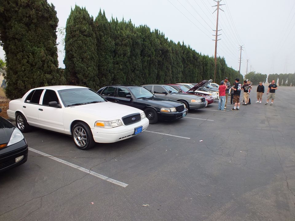Row of white and black Ford Crown Victoria sedans parked in a lot with people