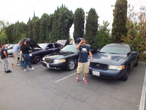 2003 Ford Crown Victoria - Line of dark Ford Crown Victoria sedans with open hoods and a man in a blue shirt standing among the cars