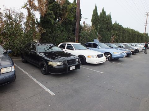 2003 Ford Crown Victoria - Lineup of Ford Crown Victoria sedans in black, white and light blue stretching across a parking lot