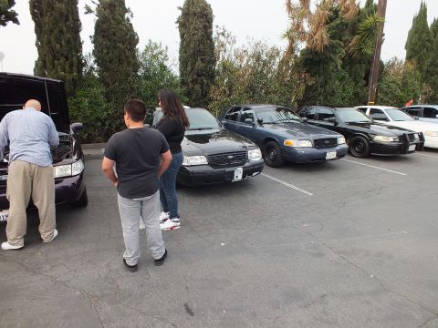 2003 Ford Crown Victoria - Row of dark Ford Crown Victoria sedans with people inspecting one car's open engine bay at a meet