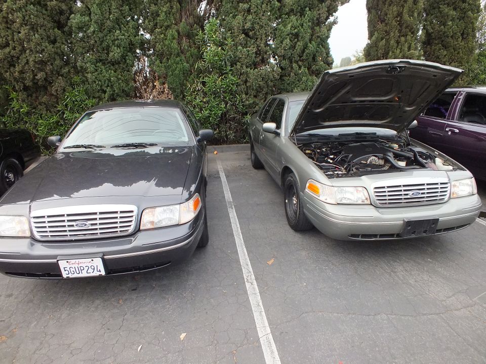 Two Ford Crown Victoria sedans parked side by side, one gray and one green with hood open