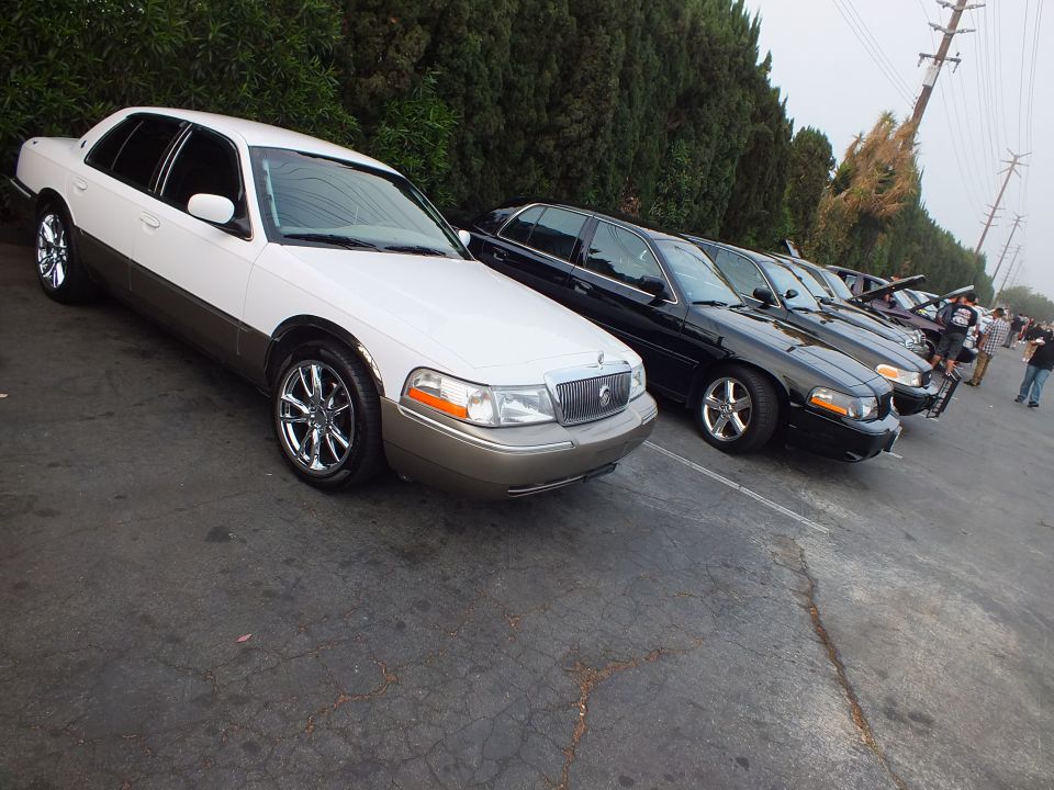 White and tan Mercury Grand Marquis next to black sedans, row of cars by trees at dusk