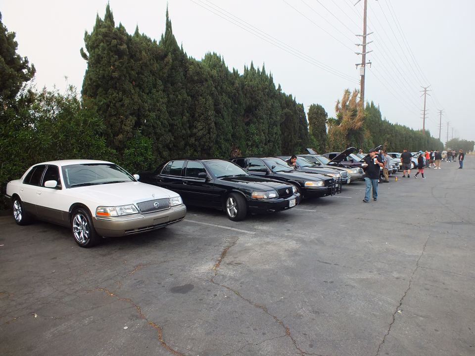 Row of Ford and Mercury sedans parked along trees at a car meet, white Grand Marquis leading