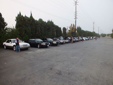 2003 Ford Crown Victoria - Row of full-size sedans lines a tree-edged lot under gray sky as attendees gather near the cars.