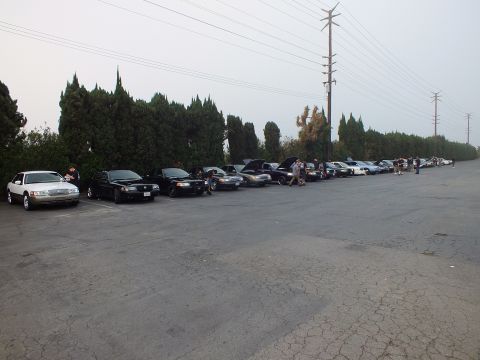 2003 Ford Crown Victoria - Full-size sedans line up along trees at a car meet, power poles crossing the overcast sky.