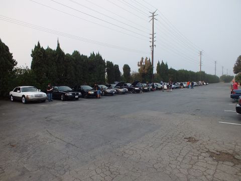 2003 Ford Crown Victoria - Attendees stand among a row of parked full-size sedans beside trees on a hazy day.
