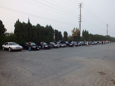 2003 Ford Crown Victoria - long line of full-size sedans parked beside a tall hedge of trees at an outdoor parking-lot car meet at dusk.