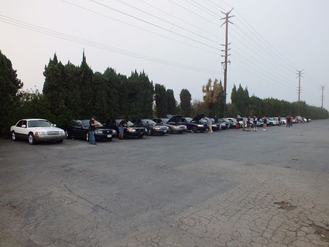 2003 Ford Crown Victoria - Attendees stand among a row of dark and white full-size sedans lined up along a hedge under power lines at a car meet.