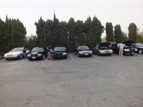 2003 Ford Crown Victoria - Six full-size sedans, several black and silver, parked nose-out in marked stalls in front of tall cypress trees.