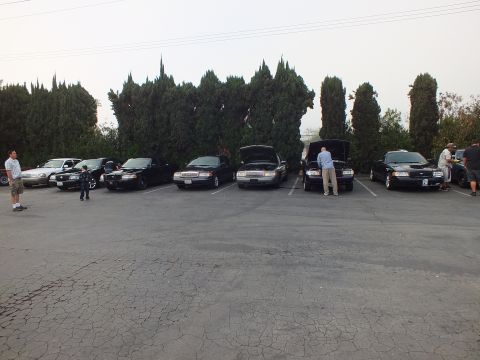 2003 Ford Crown Victoria - row of full-size sedans with several hoods raised, attendees standing nearby in a parking lot lined with trees.
