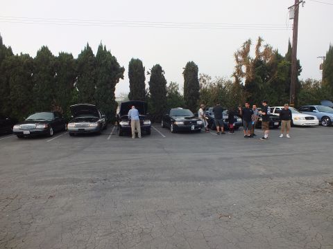 2003 Ford Crown Victoria - Several full-size sedans with hoods open while a group of people gathers nearby at an outdoor parking-lot car meet.