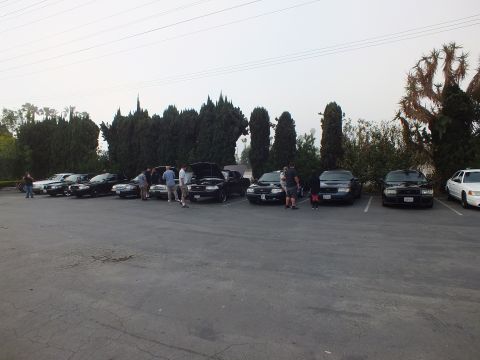 2003 Ford Crown Victoria - row of dark full-size sedans, some with hoods raised, parked in stalls along a line of trees with people inspecting them.