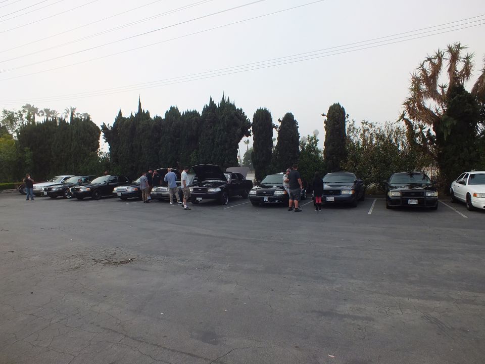 Row of dark full-size sedans, some with hoods up, parked along trees
