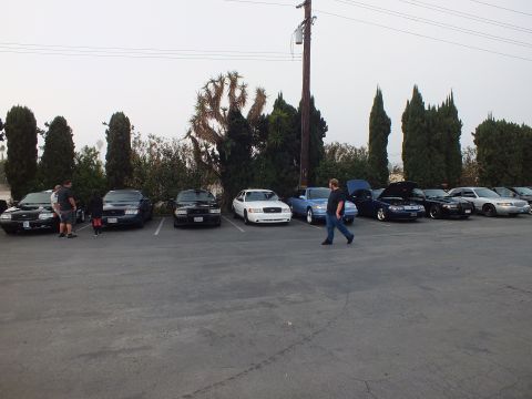2003 Ford Crown Victoria - White, blue and black full-size sedans parked nose-out in lot stalls as a man walks across the pavement.