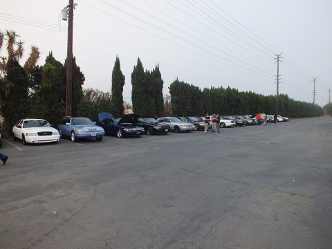 2003 Ford Crown Victoria - white sedan and a blue sedan lead a long row of parked cars along a tall hedge under power lines.