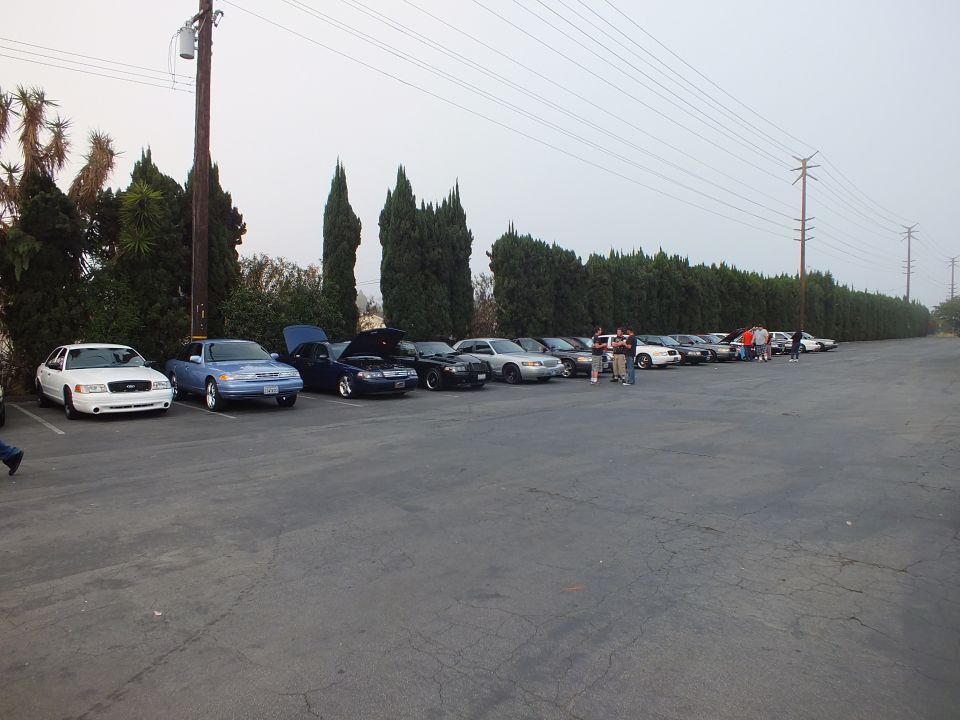 White and blue sedans leading a long row of parked cars along a hedge