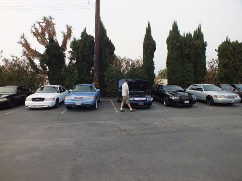 2003 Ford Crown Victoria - white sedan, a light-blue sedan and a black car parked nose-out in stalls as a man crosses the pavement.