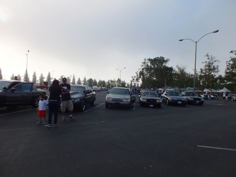 2003 Ford Crown Victoria - Full-size sedans parked across a large lot at dusk while a family with children stands beside one of the cars.