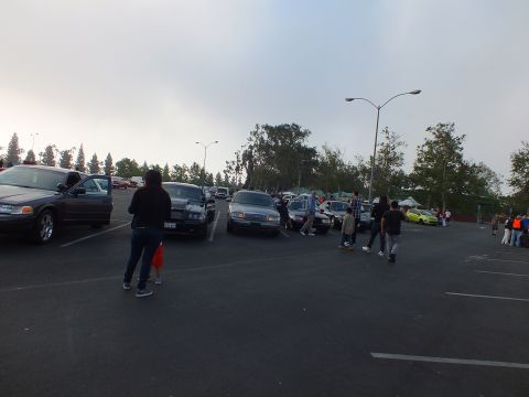 2003 Ford Crown Victoria - People walk among full-size sedans parked across a large lot under a hazy sky, with a bright green car visible at right.