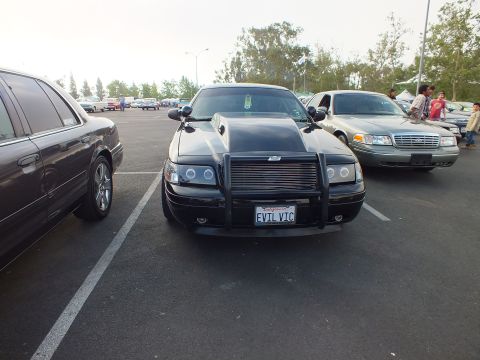 2003 Ford Crown Victoria - Head-on view of a black full-size sedan with a chrome push bar, halo headlights and an EVIL VIC license plate in a parking lot.