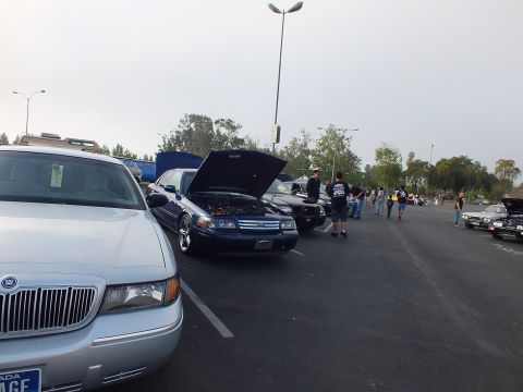 2003 Ford Crown Victoria - row of full-size sedans lines a parking-lot car meet, one with its hood raised, as people walk among the cars under a hazy sky.