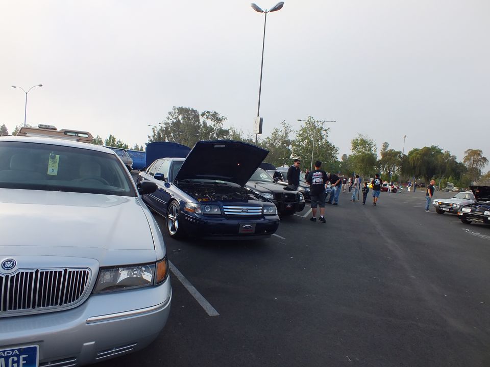 Row of full-size sedans at outdoor car meet, one with hood up, people walking