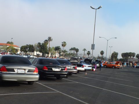 2003 Ford Crown Victoria - row of full-size sedans, including a Ford, parked nose-out under palm trees and tall light poles with hoods up in the distance.